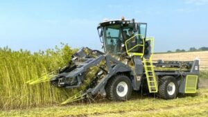 recolte-agricole-chanvre